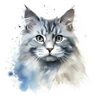 ai generiert Aquarell Katze Clip Kunst auf Weiß Hintergrund. ai generiert foto