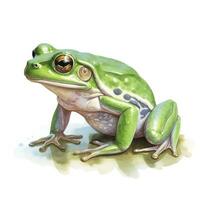 ai generiert Aquarell Grün Frosch auf Weiß Hintergrund. ai generiert foto