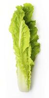 ai generiert Grüner Salat isoliert auf Weiß Hintergrund. ai generiert foto