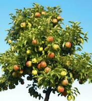 ai generiert ein schön Grün Apfel Baum. ai generiert foto