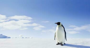 ai generiert Pinguin Stehen im Antarktis suchen in das Blau Himmel. ai generiert foto