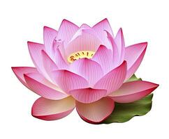 ai generiert Lotus Blume auf Weiß Hintergrund. ai generiert foto