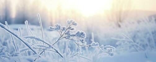 ai generiert gefroren schneebedeckt Gras, Winter natürlich abstrakt Hintergrund. schön Winter Landschaft. ai generiert foto