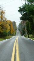 das schön Straße Aussicht mit das bunt Herbst Bäume auf beide Seiten im Herbst foto