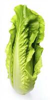 ai generiert Grüner Salat isoliert auf Weiß Hintergrund. ai generiert foto