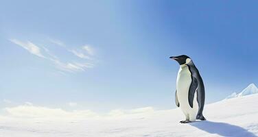 ai generiert Pinguin Stehen im Antarktis suchen in das Blau Himmel. ai generiert foto