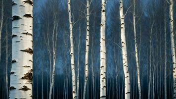 ai generiert Farbe ein lebendig Bild von das still Winter Dämmerung im ein Birke Hain, Fokussierung auf das einzigartig Muster erstellt durch das Kontrast zwischen das Weiß Rinde und das tief Blau Farbtöne von das Himmel. foto