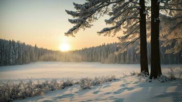 ai generiert des Winters Palette erkunden das subtil Farbtöne von Winter durch Rahmung ein Wald Szene wo das cool Töne von Schnee Mischung einwandfrei mit das warm Untertöne von das Sonnenaufgang oder Sonnenuntergang. foto