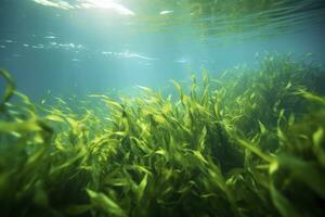 ai generiert unter Wasser Aussicht von ein Gruppe von Meeresboden mit Grün Seegras. ai generiert foto