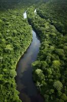 ai generiert Antenne Aussicht von das Amazonas Urwald Landschaft mit Fluss biegen. generativ ai foto