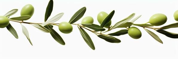 ai generiert Olive Baum Zweig, Grün Oliven und Blätter auf Weiß Hintergrund. ai generiert. foto