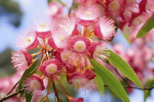 ai generiert schön Gummi Baum Rosa Blumen und Knospen. ai generiert foto