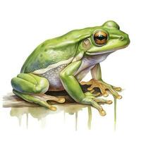 ai generiert Aquarell Grün Frosch auf Weiß Hintergrund. ai generiert foto