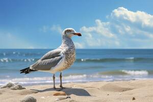 ai generiert Möwe auf das Strand unter Blau Himmel. foto