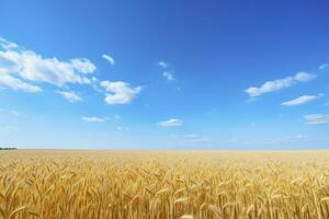 ai generiert Weizen Feld unter Blau Himmel. ai generiert foto