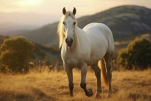 ai generiert Weiß Pferd oder Stute im das Berge beim Sonnenuntergang. ai generiert foto