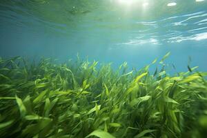 ai generiert unter Wasser Aussicht von ein Gruppe von Meeresboden mit Grün Seegras. ai generiert foto