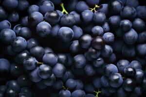 ai generiert eben legen Hintergrund von Reben, viele von organisch Blau dunkel Trauben. ai generiert foto