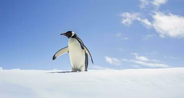 ai generiert Pinguin Stehen im Antarktis suchen in das Blau Himmel. ai generiert foto