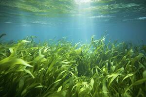 ai generiert unter Wasser Aussicht von ein Gruppe von Meeresboden mit Grün Seegras. ai generiert foto