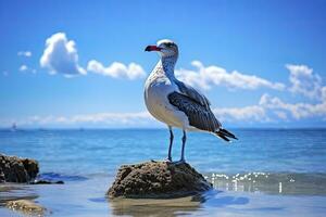 ai generiert Möwe auf das Strand unter Blau Himmel. foto