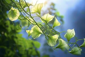 ai generiert Morgen Ruhm Ranke entfalten es ist zart Blütenblätter im das Morgen Licht. ai generiert foto