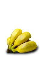 Haufen Apfel-Bananen Musa Acuminata auf weißem Hintergrund. Foto im Studio produziert