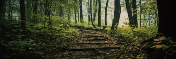 ai generiert ein Straße mit schön Wald. ai generiert foto