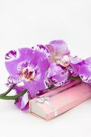 Strauß von lila Orchideen auf lange Rosa Geschenk Box mit Bogen. groß schön blühen Bündel. Geburtstag, Valentinstag Tag, Damen und Mutter Tag, Urlaub. Kopieren Raum foto