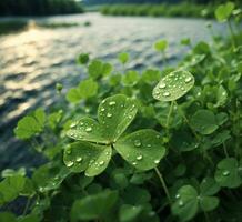 ai generiert Grün Kleeblatt Blätter mit Wasser Tropfen auf das Oberfläche von das See foto