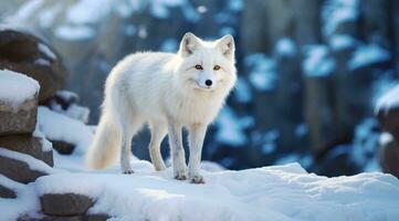 ai generiert ein Weiß Fuchs auf Schnee im das Hintergrund, foto