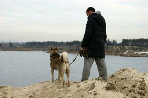 ein jung Kerl und Hund aussehen beim das See. foto