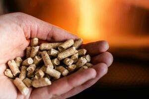 Hand halten Pellets im Vorderseite von das Glas von ein Herd mit ein schön Flamme foto