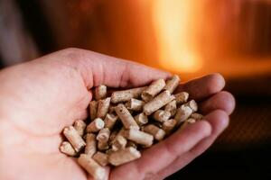 Hand halten Pellets im Vorderseite von das Glas von ein Herd mit ein schön Flamme foto