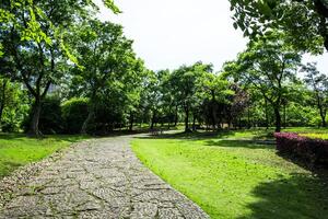 Gehweg im Garten in Bangkok, Thailand? foto