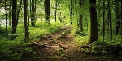 ai generiert ein Straße mit schön Wald. ai generiert foto