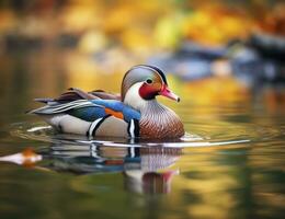 ai generiert Nahansicht von Mandarin Ente Schwimmen im See. generativ ai. foto