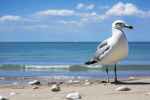 ai generiert Möwe auf das Strand unter Blau Himmel. foto