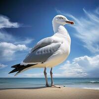 ai generiert Möwe auf das Strand unter Blau Himmel. foto