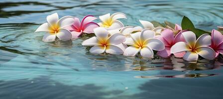 ai generiert Plumeria Blumen auf Grün Blatt schwebend auf Wasser. ein friedlich und heiter Szene mit ein berühren von Natur und Schönheit. ai generiert foto