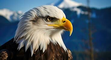 ai generiert amerikanisch kahl Adler im das Natur Hintergrund foto