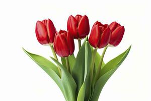 ai generiert rot Tulpen isoliert auf Weiß Hintergrund. ai generiert foto