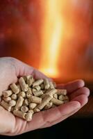 Hand halten Pellets im Vorderseite von das Glas von ein Herd mit ein schön Flamme foto