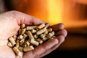 Hand halten Pellets im Vorderseite von das Glas von ein Herd mit ein schön Flamme foto