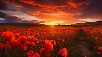 ai generiert Landschaft Foto Feld von rot Mohnblumen beim Sonnenuntergang