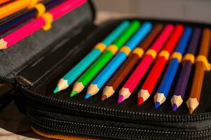 mehrfarbig Bleistifte im ein Schüler Bleistift Fall foto