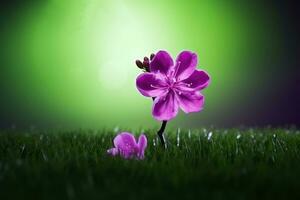 ai generiert ein lila Kirsche blühen blüht auf das Grün Gras. generativ ai foto
