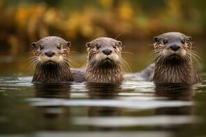 ai generiert Otter spielerisch Schwimmen im das Wasser und suchen beim das Kamera, generativ ai foto