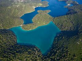 Aussicht von mljet Insel im Kroatien. das National Park Abdeckungen das Western Teil von das Insel, welche viele betrachten wie das die meisten verlockend im das Adria, voll von üppig und abwechslungsreich Mittelmeer Vegetation foto