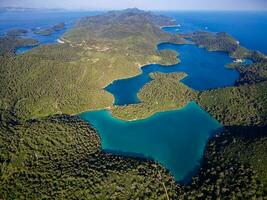 Aussicht von mljet Insel im Kroatien. das National Park Abdeckungen das Western Teil von das Insel, welche viele betrachten wie das die meisten verlockend im das Adria, voll von üppig und abwechslungsreich Mittelmeer Vegetation foto